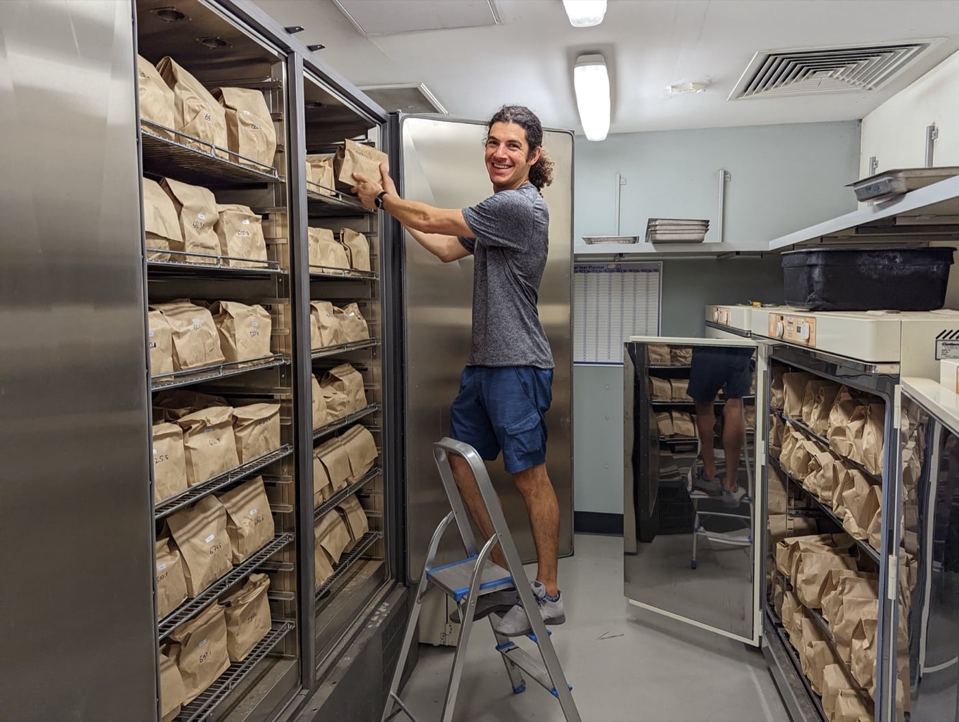 David working in a mushroom cultivation lab, restocking shelves of substrate bags.