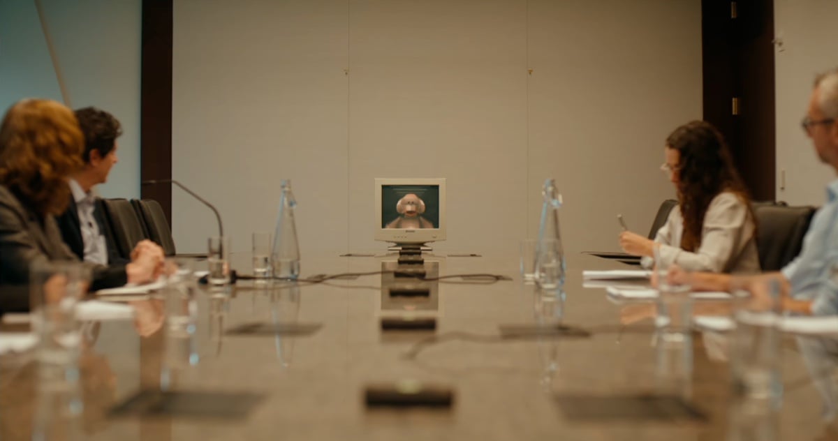 SAN in the board room of Rainforest Foundation US, Manhattan